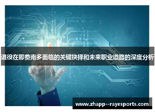退役在即费南多面临的关键抉择和未来职业道路的深度分析